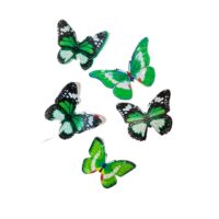 15 Pcs Set Butterflies Edible Wafer Paper Decorations 5 - Cake Tools - Decorative Cake Toppers - Product Detail