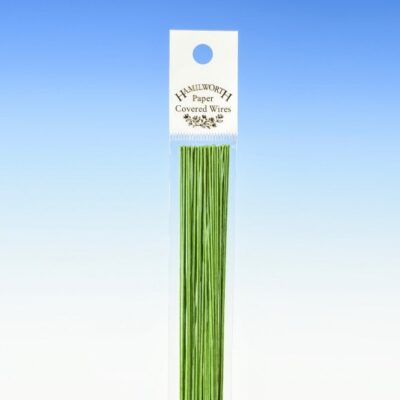 Hamilworth 26 Gauge – Nile Green Florist Wire x 25 - Hamilworth - Sugar flowers Essentials - On Display