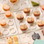 Dacquoise Cake Acrylic Cookie Mold Macaroon French dessert