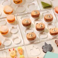 Dacquoise Cake Acrylic Cookie Mold Macaroon French dessert