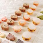 Dacquoise Cake Acrylic Cookie Mold Macaroon French dessert (2)