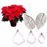 5 Pcs Set Poinsettia Christmas Flower Petal Veiner Mould & Cutter - Cake Tools - Sugar flowers Essentials - Full View