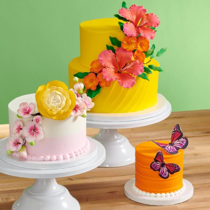 Round Shape Styrofoam Cake Dummy (2)