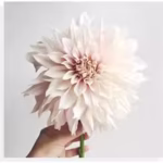 20 Pcs Set Dahlia Flower Petal Veiner Mould & Cutter - Cake Tools - Sugar flowers Essentials - Close-up View