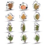 12 Pcs Set Leaf Cookie Fondant Cutter - Cake Tools - Plungers & Cutters - Close-up View