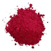 Sancolor Pink Lake Chocolate Powder 25g - Sancolor - Cake Decorating Tools - Close-up View