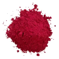 Sancolor Pink Lake Chocolate Powder 25g - Sancolor - Cake Decorating Tools - Close-up View