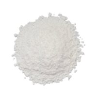 Sancolor White Lake Chocolate Powder 100g - Sancolor - Cake Decorating Tools - Full View