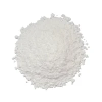 Sancolor White Lake Chocolate Powder 100g - Sancolor - Cake Decorating Tools - Full View
