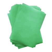 EPS A4 Green Coloured Wafer Paper 0.3mm 12 Sheets - EPS - Edible Printing Supplies - Full View