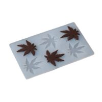 maple