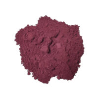 Sancolor Violet Lake Chocolate Powder 25g - Sancolor - Cake Decorating Tools - Product Detail