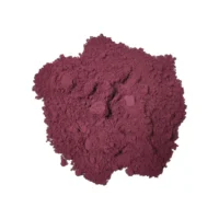 Sancolor Violet Lake Chocolate Powder 25g - Sancolor - Cake Decorating Tools - Product Detail