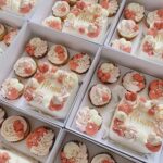 Clear Lid Bento Cake & Cupcake Box