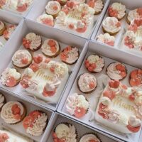 Clear Lid Bento Cake & Cupcake Box