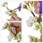 Coloring Powder Brush (3)
