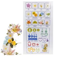 Gum Paste Flowers Set