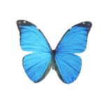 60 Pcs Blue Butterflies Edible Wafer Paper Decorations