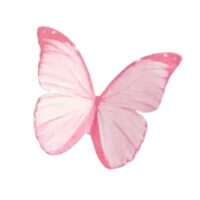 60 Pcs Pink Butterflies Edible Wafer Paper Decorations