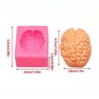 Brain Halloween Silicone Mold