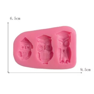 Graduation Themed Silicone Mold 4