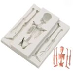 Skull Skeleton Halloween Silicone Mold