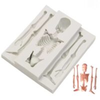 Skull Skeleton Halloween Silicone Mold