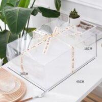 Transparent Square Cake Box (3)