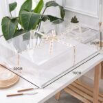 Transparent Square Cake Box (4)
