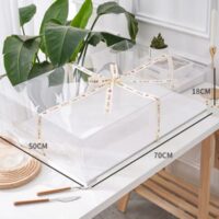 Transparent Square Cake Box (4)