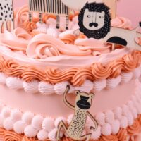 Colour Peach Oil Based Food Colouring 20ml