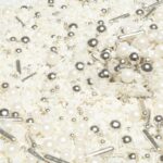 Silver & White Wedding Sugar Pearls Sprinkles 100g