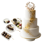 Your paragraph text (28)