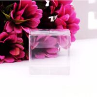 10 Pcs Clear Plastic Chocolate Clear Candy Gift Box