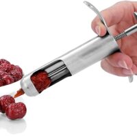 Stainless Steel Date Pitter and Jujube Corer Tool