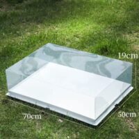 Transparent Rectangular Cake Box 70x50x19 cm