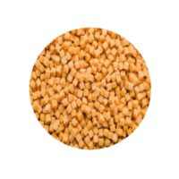 Mini Caramel Cookie Dough Cubes 3.5mm 250G